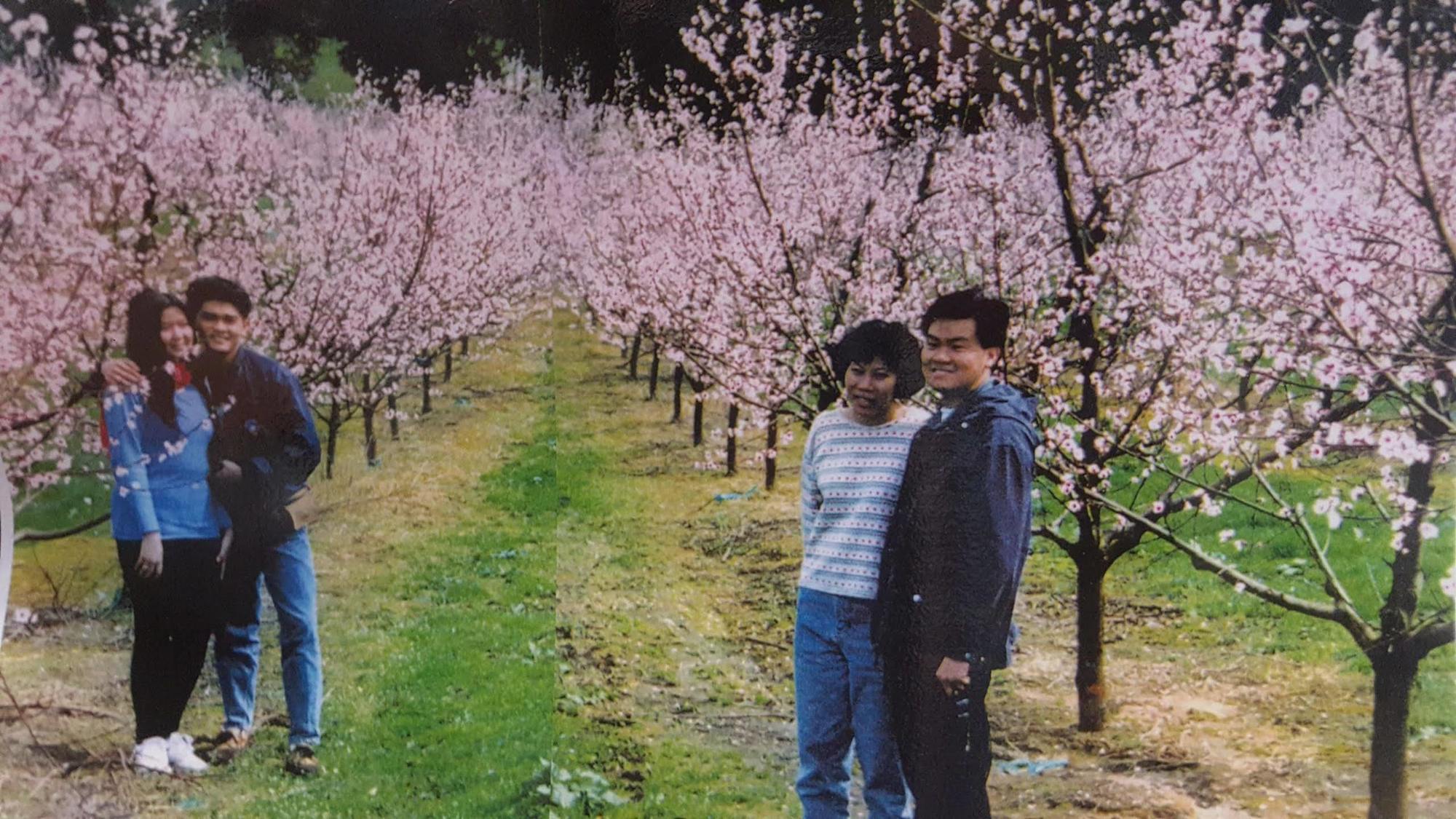 Waitomo Orchard Estate B&B Otorohanga Zewnętrze zdjęcie